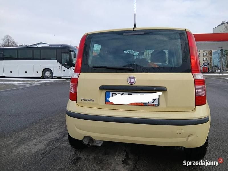 Używany Fiat Panda 2009 Hatchback