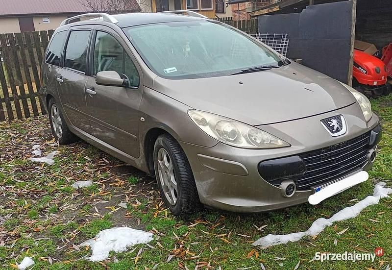 Brązowy Używany 2005 Peugeot 307 Kombi | 6500 zł (Dość drogi) - Obraz 1/2