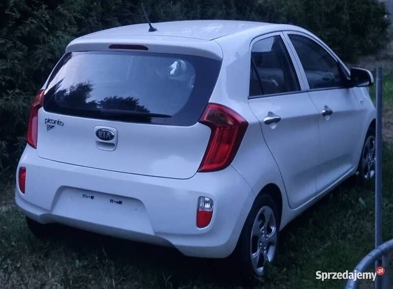 Używany Kia Picanto 69 KM (50 kW) 2013 Biały Hatchback