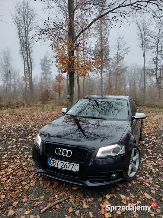 Używany 2008 Audi A3 S-Line | 33 000 zł - Obraz 1/4