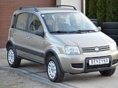 Brązowy Używany 2007 Fiat Panda 4x4 Hatchback | 20 900 zł - Obraz 1/4
