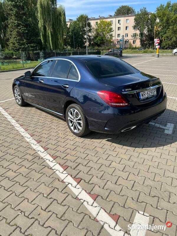 Obraz 2/4