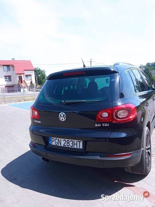 Obraz 3/4