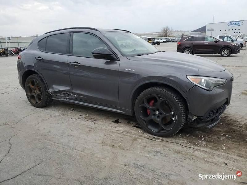 Używany Alfa Romeo Stelvio Ti 2021 Szary SUV