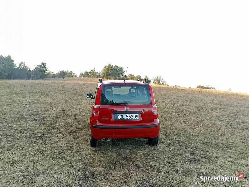 Używany Fiat Panda 2011 Czerwony Hatchback