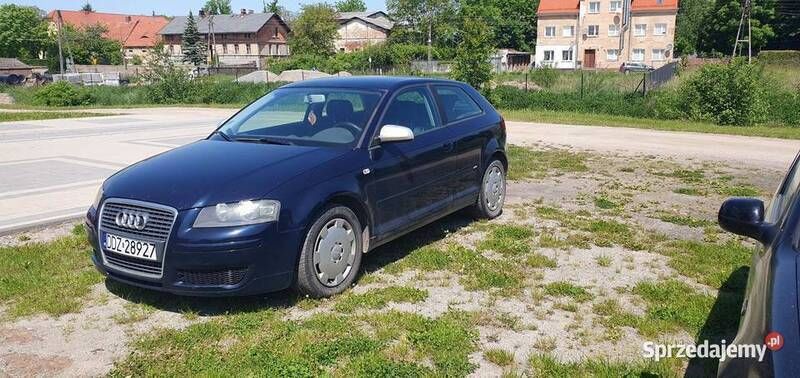 Używany 2005 Audi A3 | 9600 zł (Uczciwa cena) - Obraz 1/4