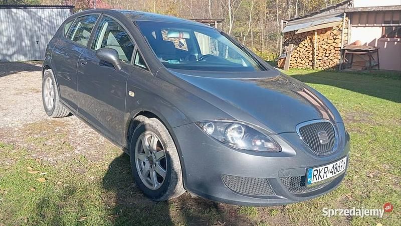 Szary Używany 2007 Seat Leon Hatchback | 9500 zł (Uczciwa cena) - Obraz 1/4