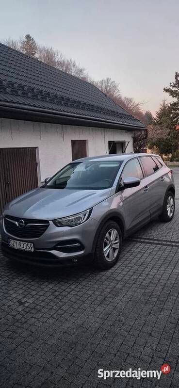 Używany Opel Grandland X 131 KM (96 kW) 2020 Szary SUV