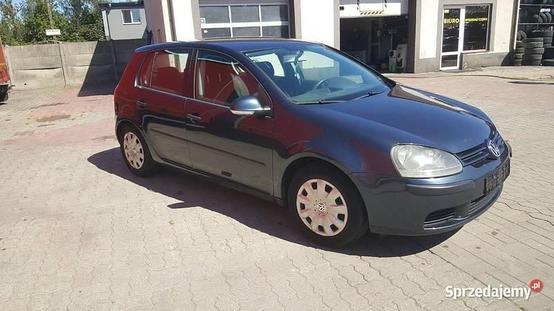 Używany 2004 VW Golf V | 5000 zł (Uczciwa cena) - Obraz 1/4