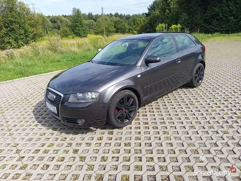 Używany 2005 Audi A3 | 10 999 zł (Uczciwa cena) - Obraz 1/4