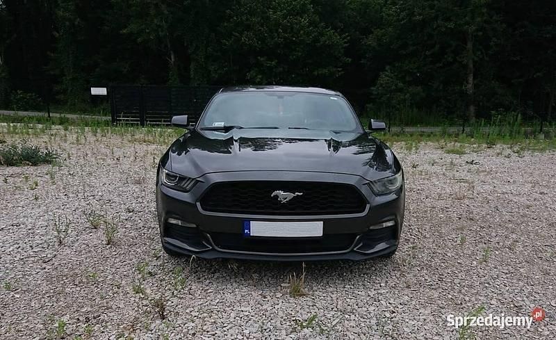 Używany 2015 Ford Mustang Coupe | 70 000 zł (Dobra cena) - Obraz 1/4