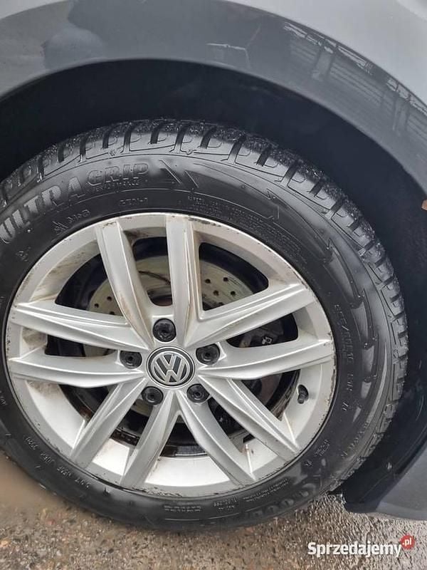 Używany VW Golf VII 2017