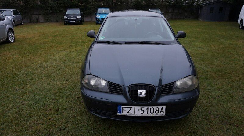Używany Seat Ibiza 75 KM (55 kW) 2004 Szary Hatchback