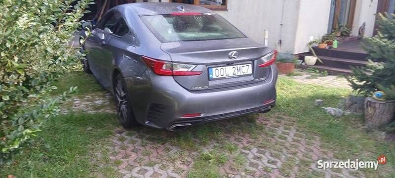 Obraz 2/4