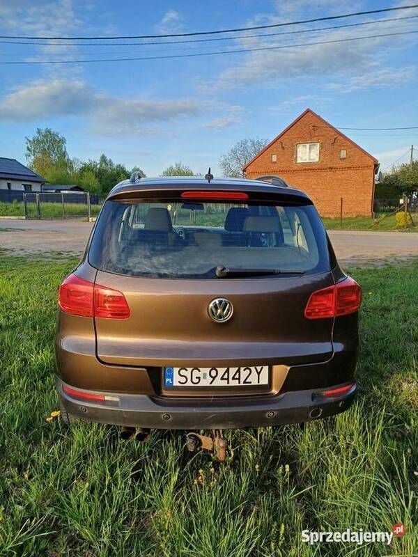 Obraz 4/4