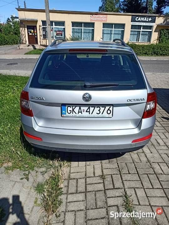 Używany 2013 Skoda Octavia | 25 000 zł (Drogi) - Obraz 1/1