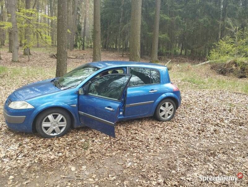 Używany 2002 Renault Mégane II | 3500 zł (Uczciwa cena) - Obraz 1/2