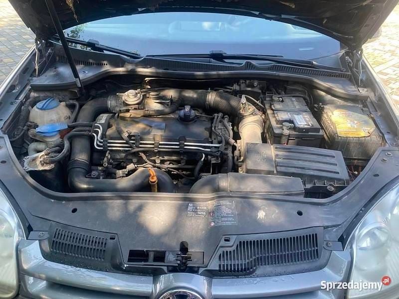 Używany 2006 VW Golf V | 6000 zł (Dobra cena) - Obraz 1/4