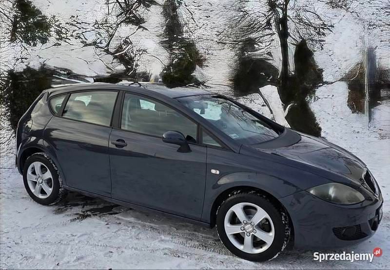 Szary Używany 2008 Seat Leon Hatchback | 10 500 zł (Uczciwa cena) - Obraz 1/3