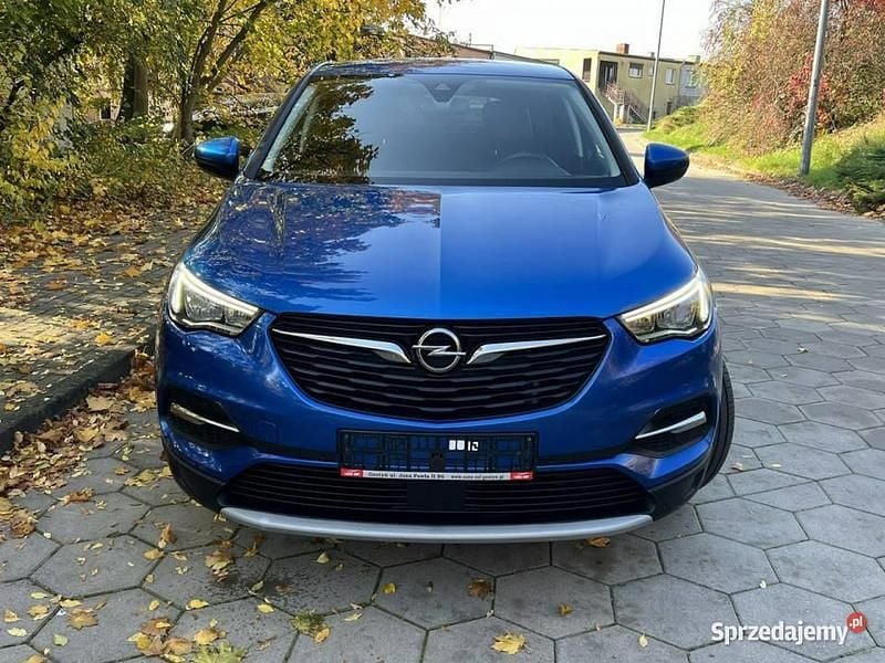 Niebieski Używany 2018 Opel Grandland X SUV | 63 999 zł (Dość drogi) - Obraz 1/4