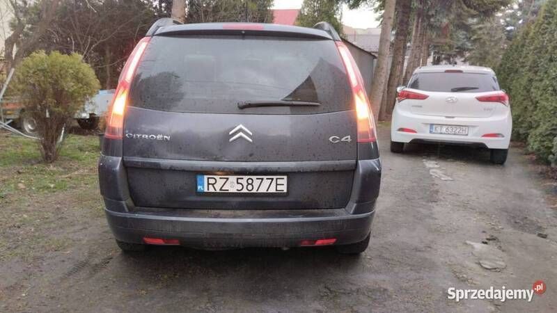 Obraz 4/4
