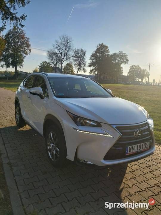 Obraz 3