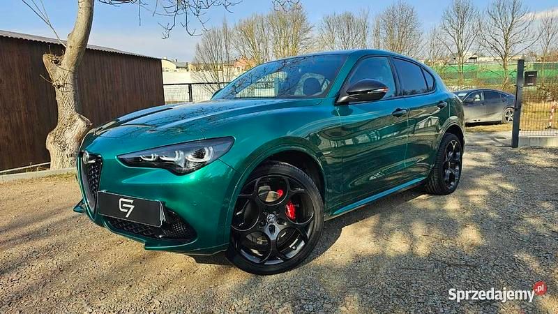 Używany Alfa Romeo Stelvio Ti 280 KM (205 kW) 2024 SUV