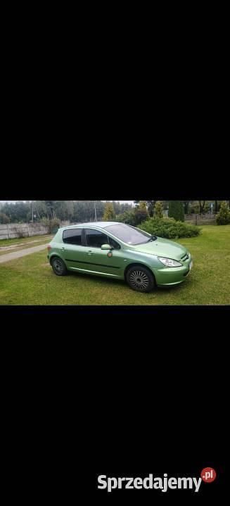 Używany 2005 Peugeot 307 | 3000 zł (Uczciwa cena) - Obraz 1/4