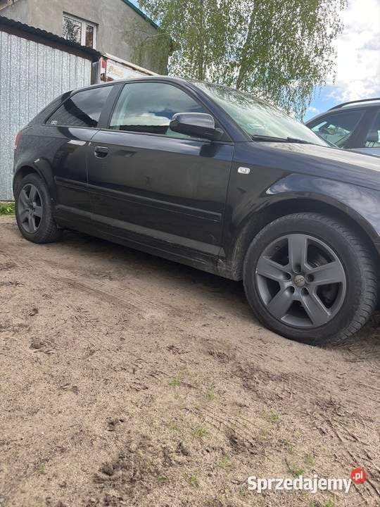 Czarny Używany 2008 Audi A3 Hatchback | 15 300 zł (Uczciwa cena) - Obraz 1/4