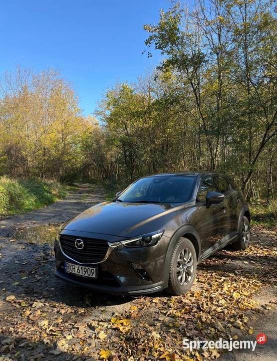 Szary Używany 2019 Mazda CX-3 SUV | 78 500 zł (Uczciwa cena) - Obraz 1/4