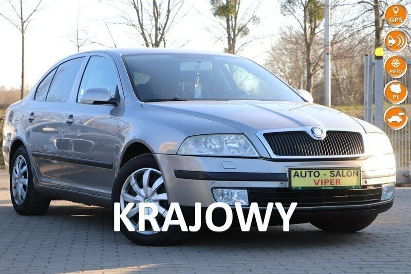 Grafitowy Używany 2007 Skoda Octavia Hatchback | 18 800 zł (Drogi) - Obraz 1/4