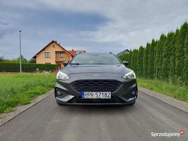 Używany 2019 Ford Focus ST | 50 999 zł (Dość drogi) - Obraz 1/4