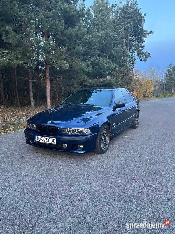 Obraz 2/4