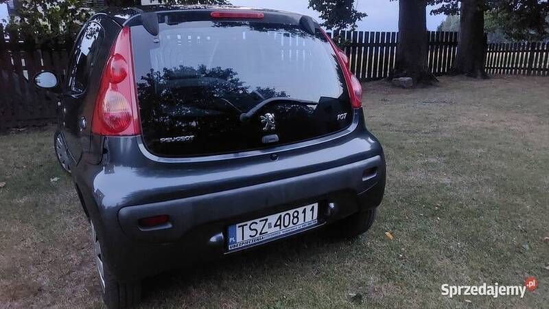 Obraz 3/4