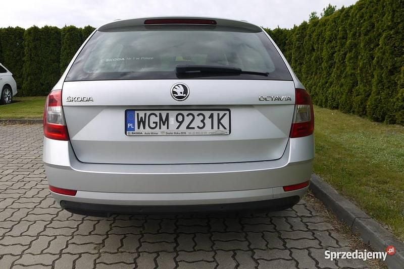 Używany Skoda Octavia Style 2018 Kombi