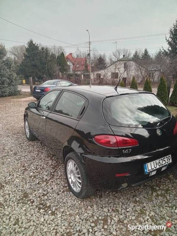 Obraz 4/4