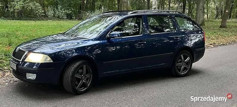 Granatowy Używany 2007 Skoda Octavia Kombi | 9900 zł (Uczciwa cena) - Obraz 1/4