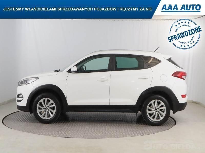 Obraz 4/4