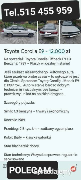 Obraz 3/3