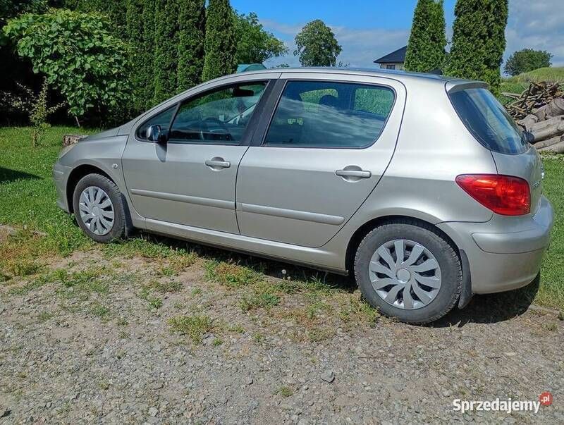 Złoty Używany 2006 Peugeot 307 Hatchback | 8900 zł (Dość drogi) - Obraz 1/2