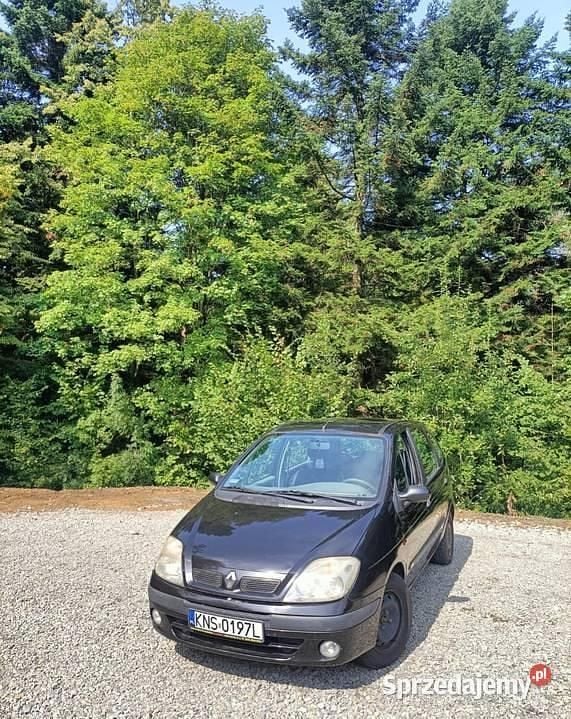 Czarny Używany 2003 Renault Scénic Minivan | 1500 zł (Uczciwa cena) - Obraz 1/3