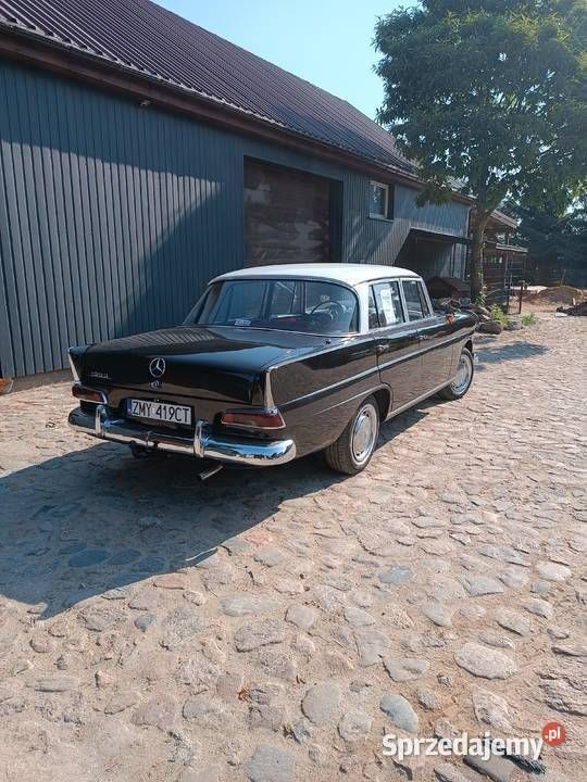 Używany Mercedes 190 1964 Sedan/Limuzyna