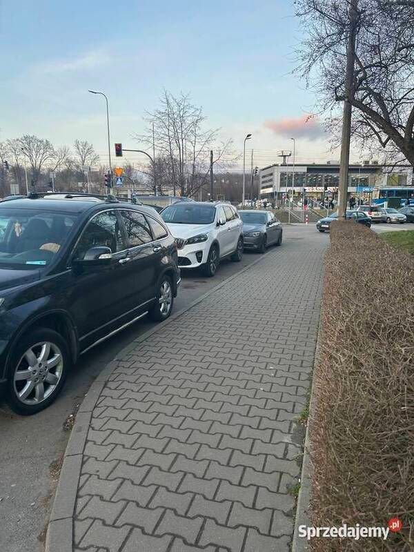 Obraz 4