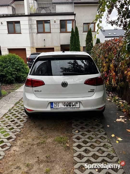 Obraz 4/4