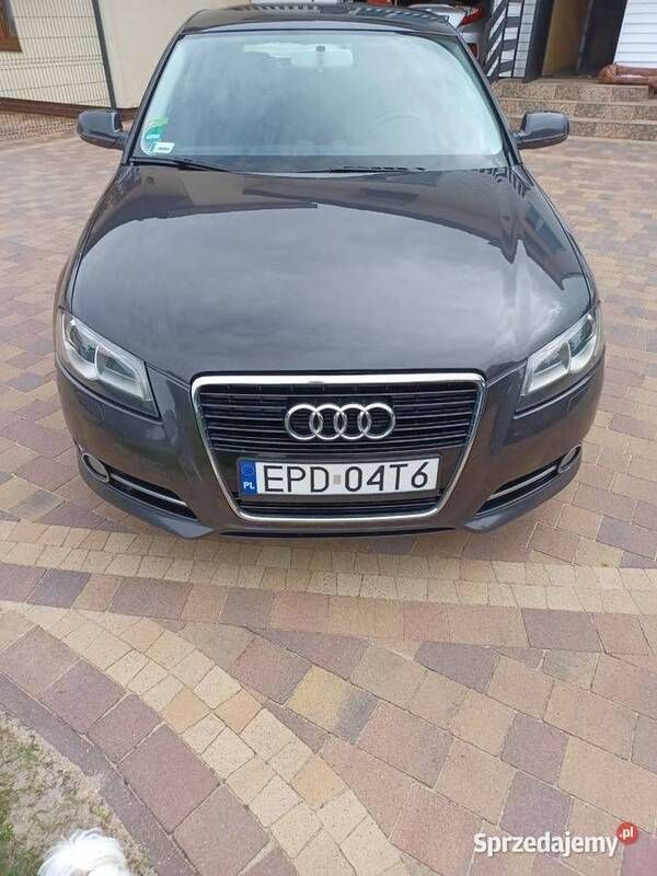 Używany Audi A3 Ambition 140 KM (102 kW) 2011 Hatchback