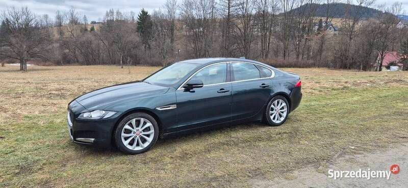 Zielony Używany 2016 Jaguar XF Prestige Sedan/Limuzyna | 73 000 zł (Uczciwa cena) - Obraz 1/4