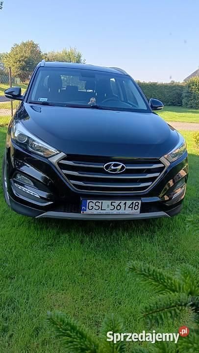 Używany 2017 Hyundai Tucson SUV | 53 400 zł (Dobra cena) - Obraz 1/4