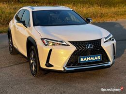 Lexus UX 300e