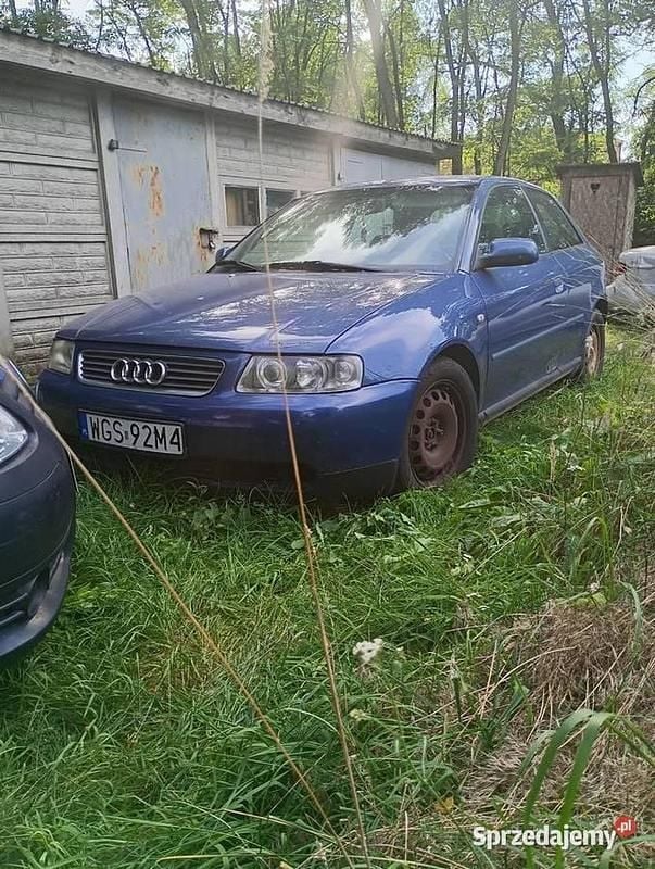Używany 2001 Audi A3 | 2400 zł (Dobra cena) - Obraz 1/4