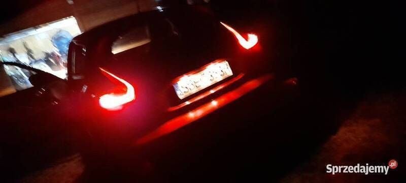Obraz 4/4